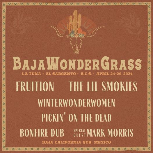 BajaWonderGrass